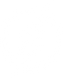 Flash Logo Goat Skins